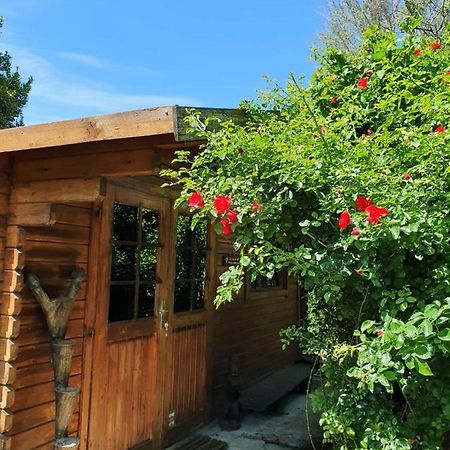 La Cabane Du Pesquier En Provence Caumont-sur-Durance エクステリア 写真