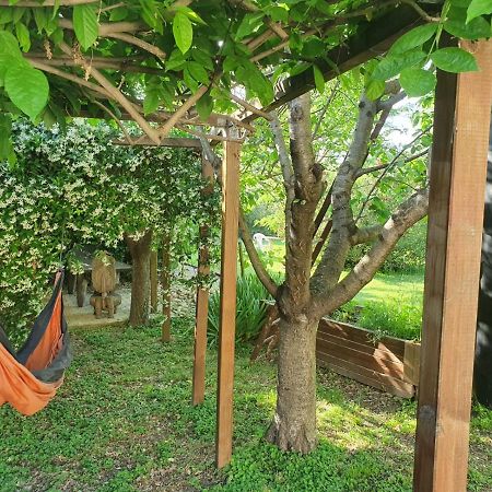 La Cabane Du Pesquier En Provence Caumont-sur-Durance エクステリア 写真