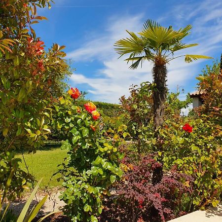 La Cabane Du Pesquier En Provence Caumont-sur-Durance エクステリア 写真