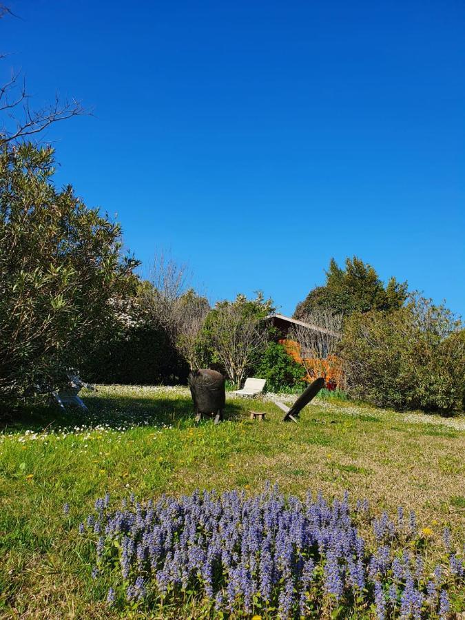 La Cabane Du Pesquier En Provence Caumont-sur-Durance エクステリア 写真