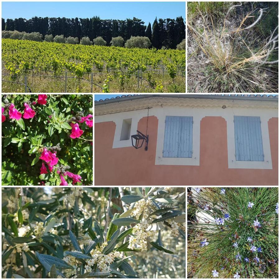 La Cabane Du Pesquier En Provence Caumont-sur-Durance エクステリア 写真